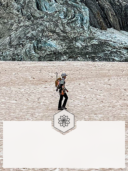 silverskin